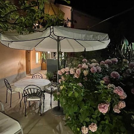 Luxury Apartman Bili 伯德古拉 外观 照片